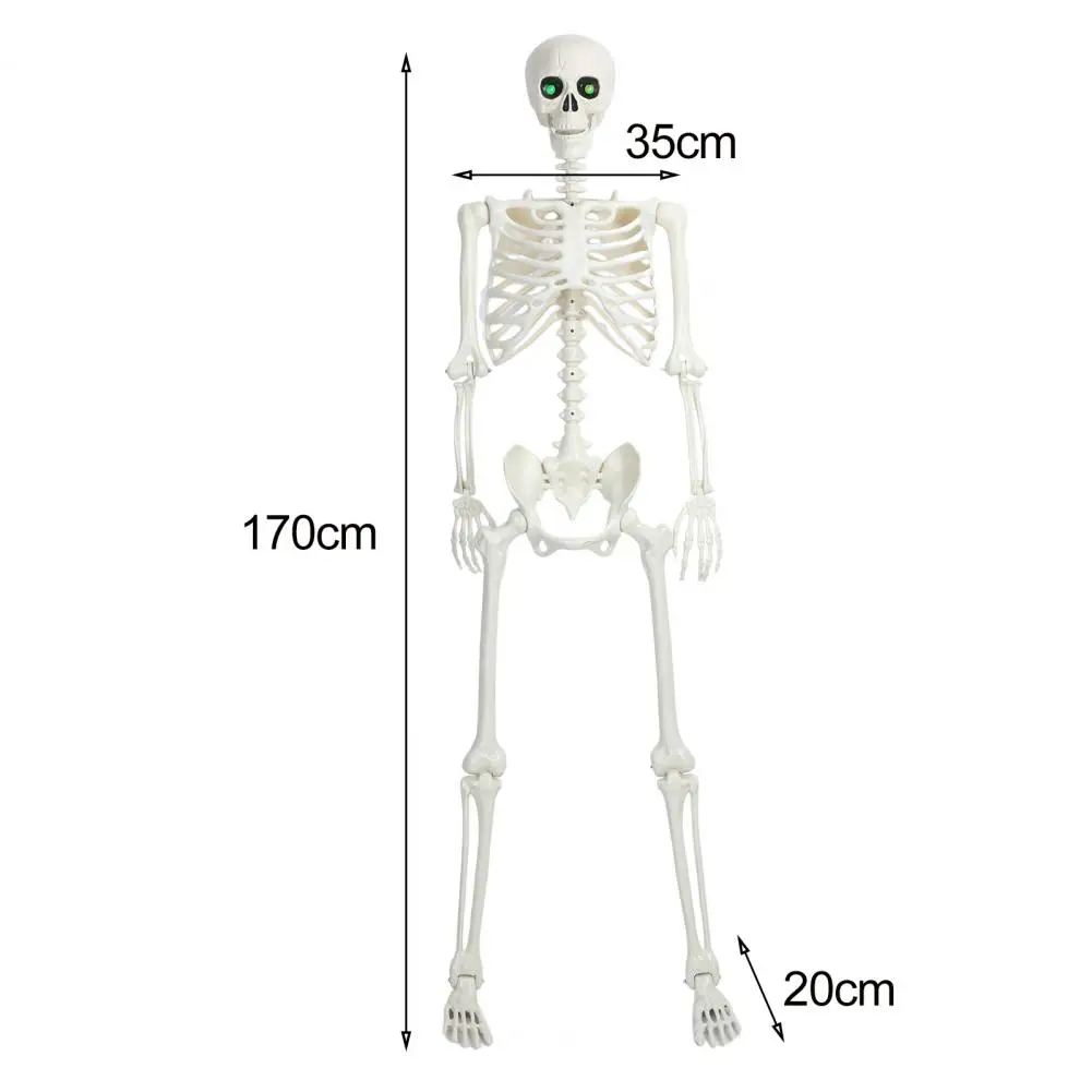 5.4FT Halloween Life Size Light-up Skeleton Decor Movable Joints Realistic Full Body Bones Skeleton Prop with Glowing Eyes