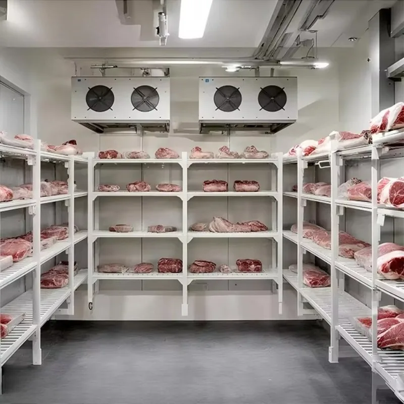 Good Quality Refrigerated Freezer Small Size Negative Mobile Cold Storage Room for Meat Seafood