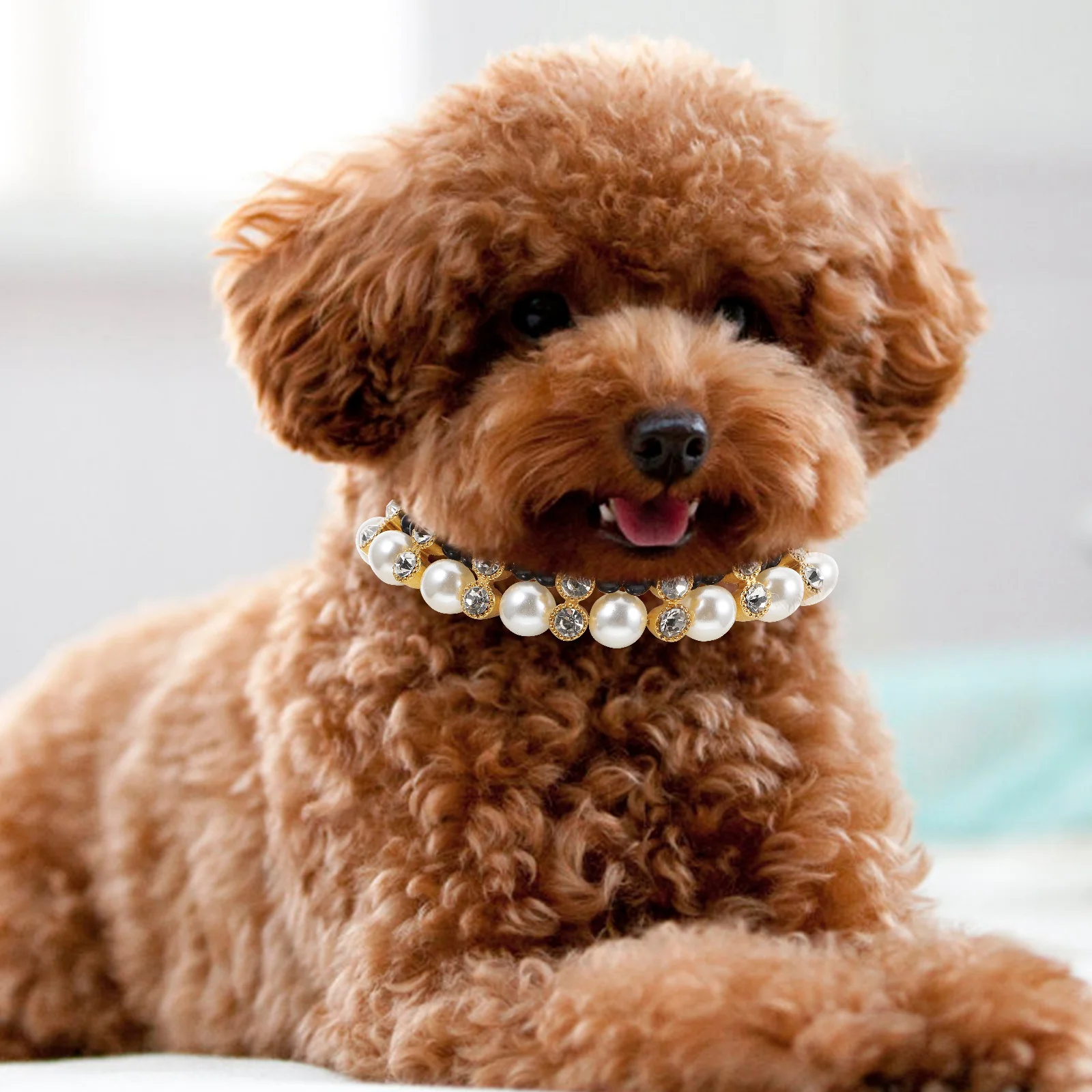 

Lovely Pearl Puppy Neck Ring Dog Necklace Wedding Party Decoration Lightweight Fashionable Supplies Cat Collar Photography