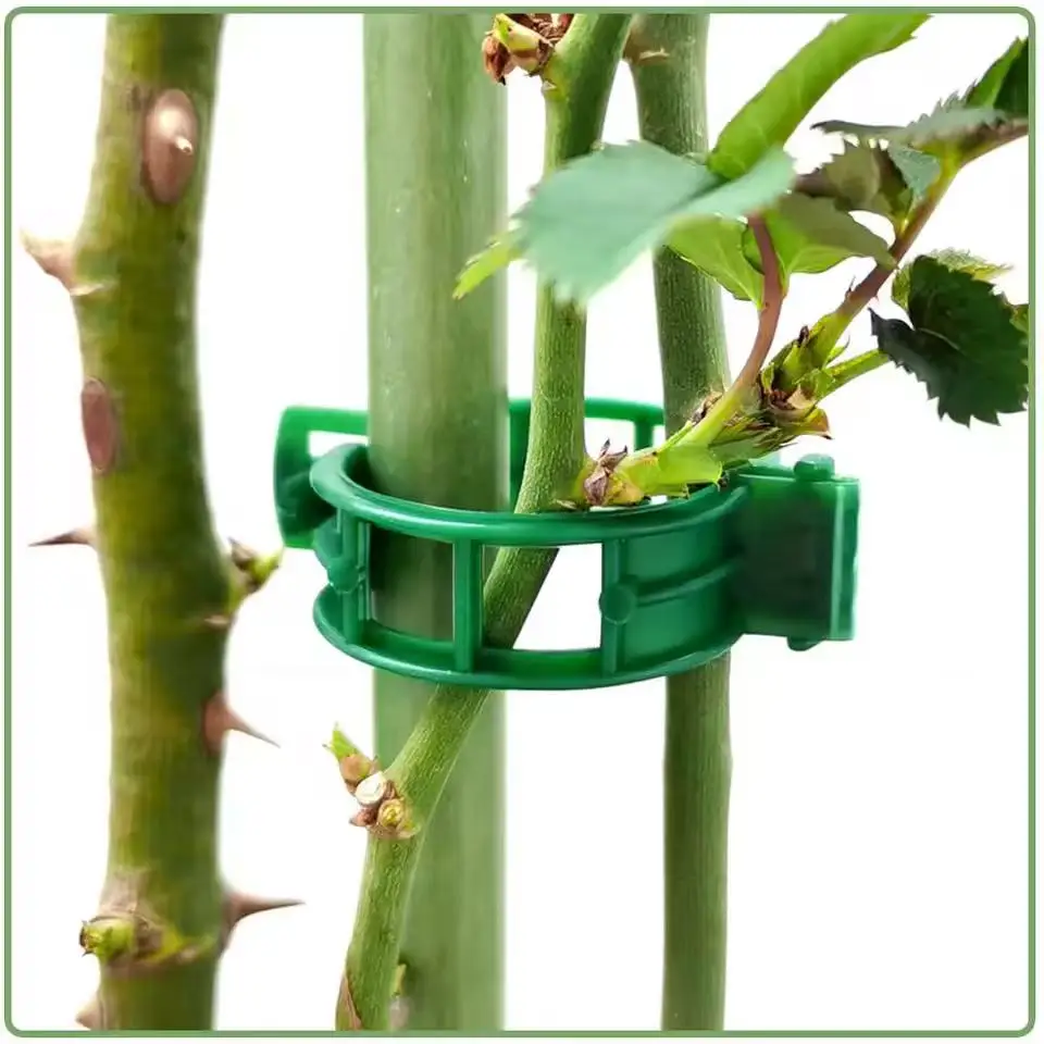 100 Stück Pflanzenstützclips aus Kunststoff für Gartenpflanzen, Stielhalter, Rankenbefestigungsclips für Kletterpflanzen, Tomaten, Weinreben
