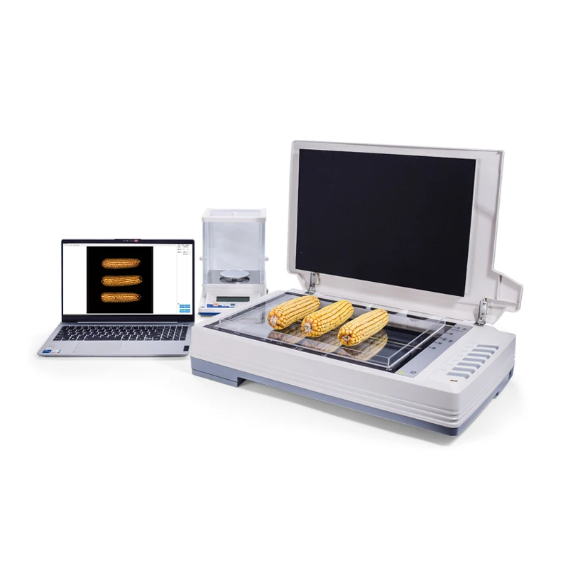 Maize Seed Examination And Analysis System Maize Whole Ear Analyser Seed Examiner Section Analysis System