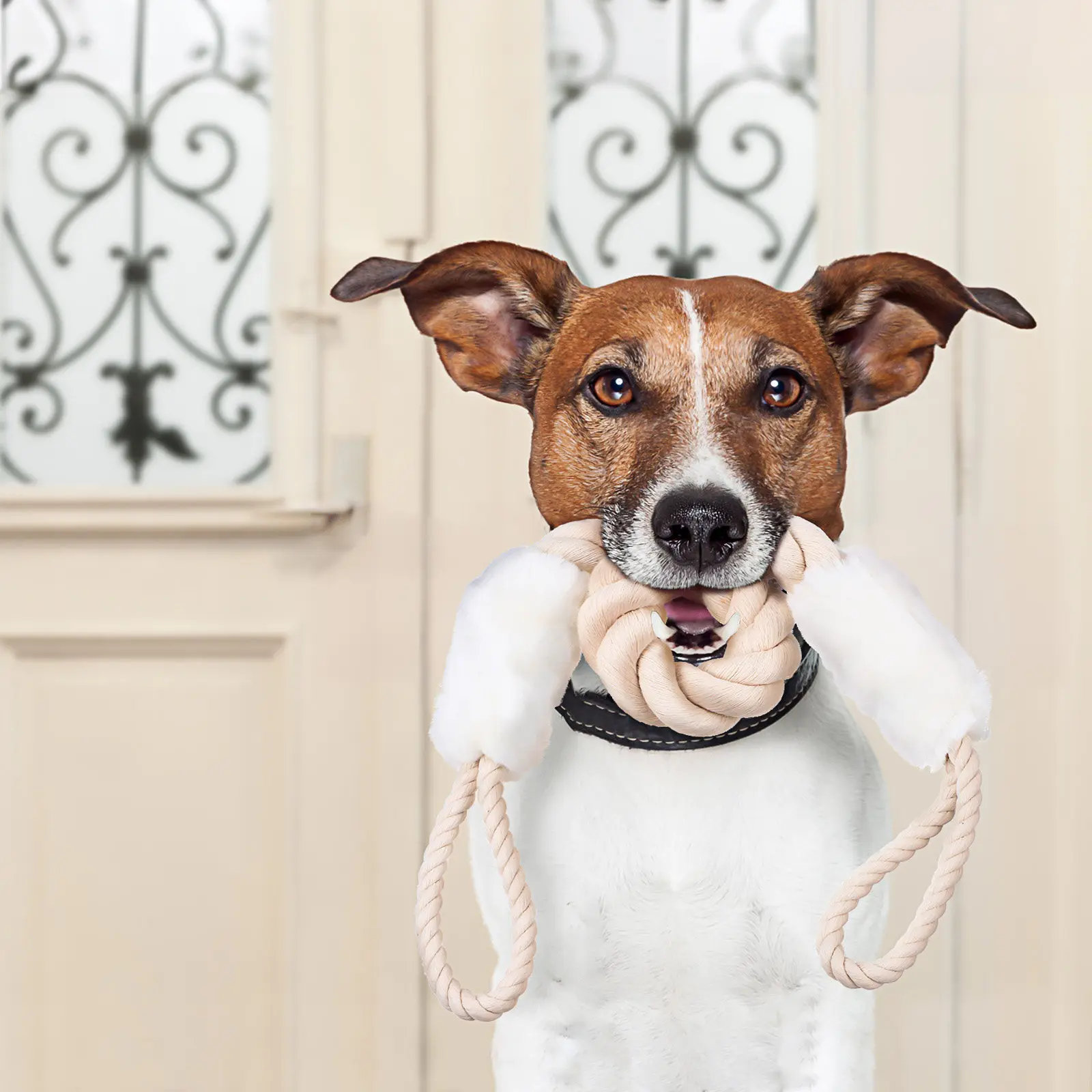 

Multi-Functional Safety Door Strap Latch Finger Pinch Protector Door Slam Stopper Rope for Pet Cat Dog Flex Latch