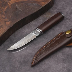3 Inch Sharp Kitchen Knife Damascus Pattern 10Cr15MoV Stainless Steels High Hardness Knife Quality Carving Chef Knives
