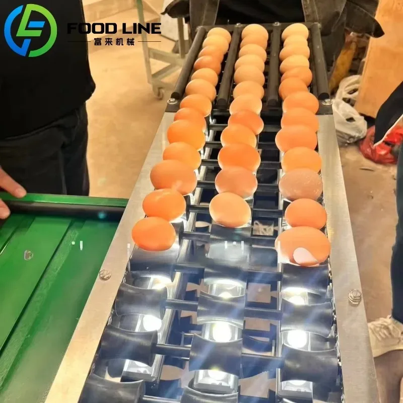 آلة تصنيف البيض الأوتوماتيكية، فارز الوزن والحجم التجاري لمزرعة الدواجن وأعمال تعبئة البيض