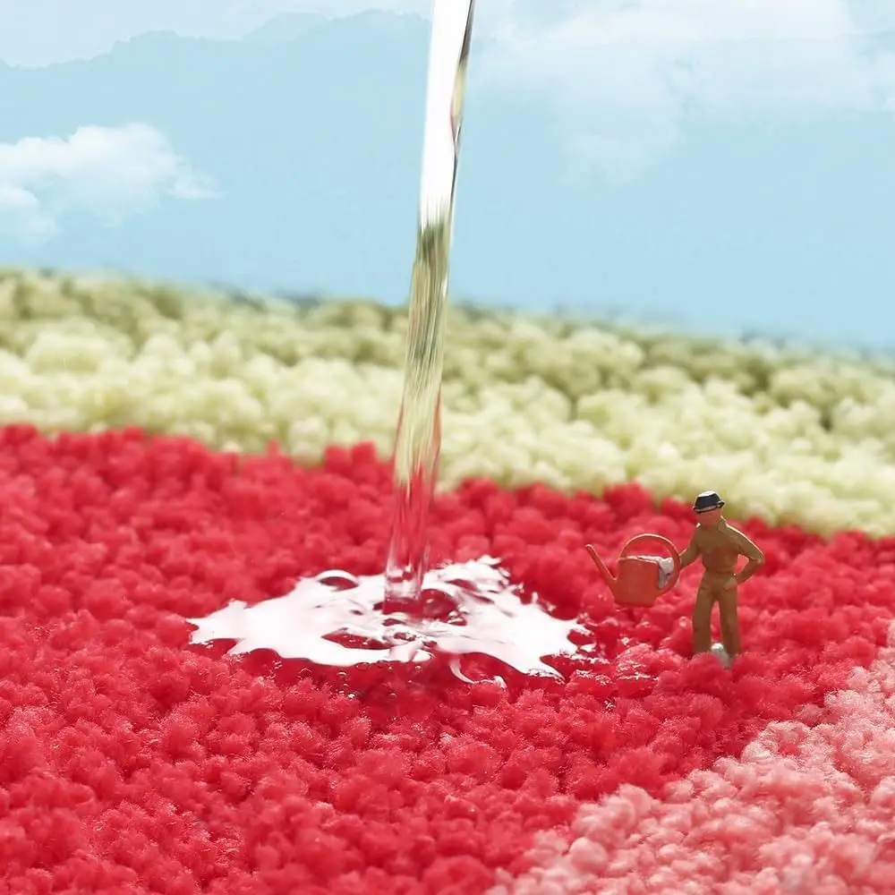 Cute Imitation Cashmere Fruit Bath Mats Soft Non-slip Carpet Thickened Absorbent Bathroom Rugs for Living Room Bedroom
