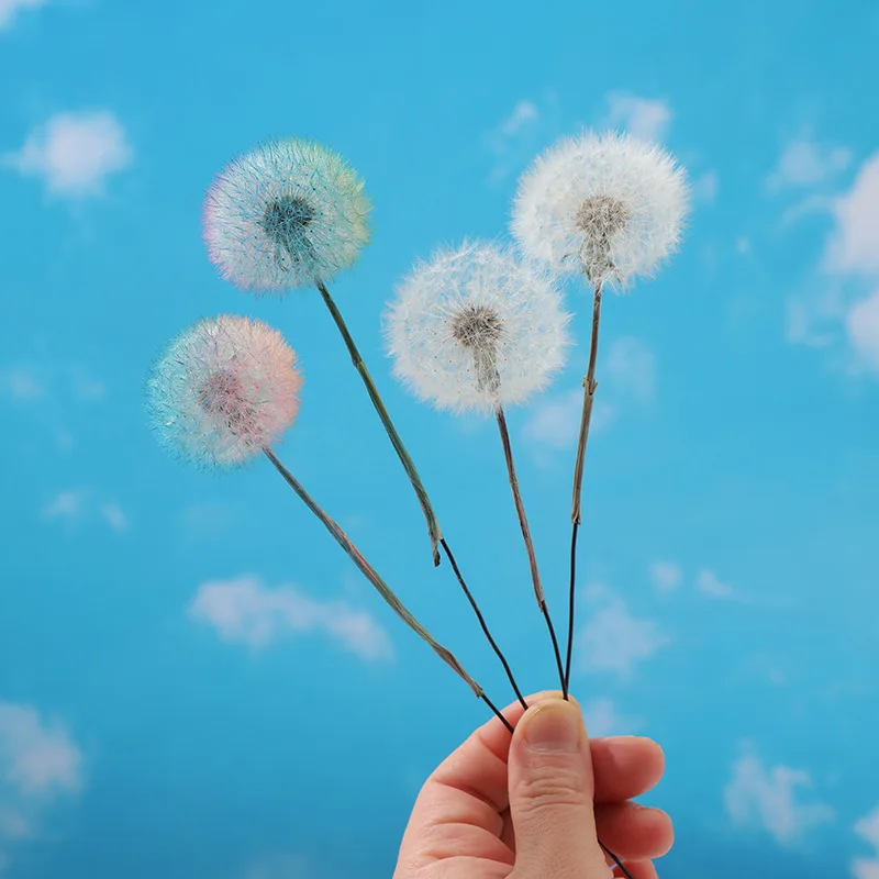 Preserved Dandelion DIY Epoxy Resin Craft Kit, Forever Dried Flower for Resin Molds, Decor & Photo Props - view 4