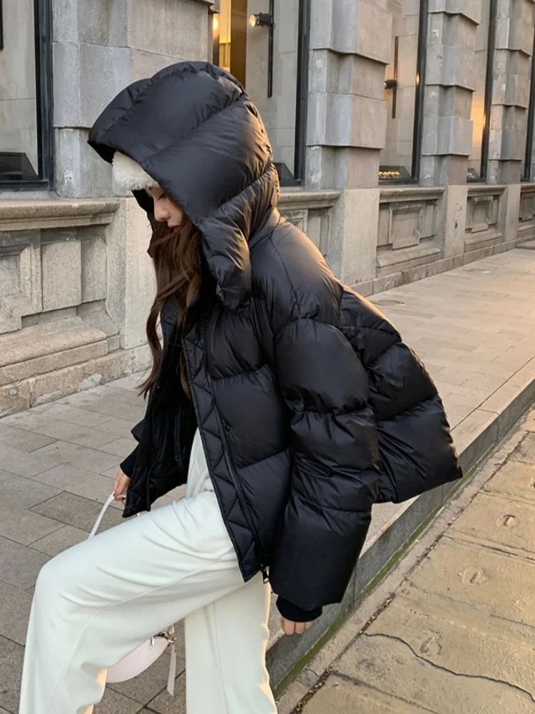 Hooded Women Parkas Overcoat Short Coat Solid Long Sleeve Zipper Turn Down Collar Straight Thick Office Lady Casual Winter 2025