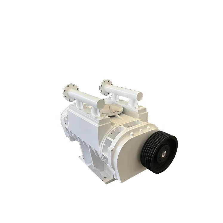 

Pneumatic conveying vacuum pumps Oil-free and high performance Cost-effective