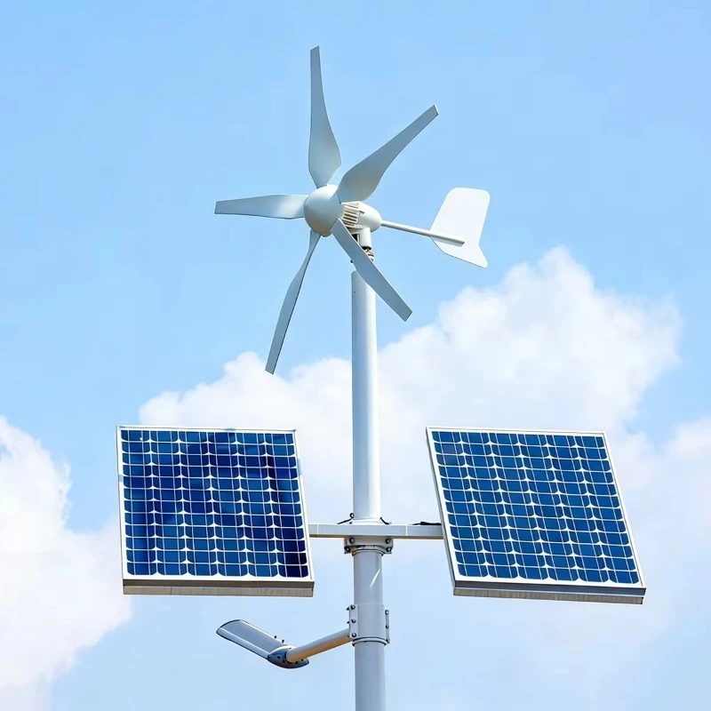 6000w 48v Flywheel Horizontal Axis Wind Turbine Power Energy Generator Set with Mppt Controller Windmill
