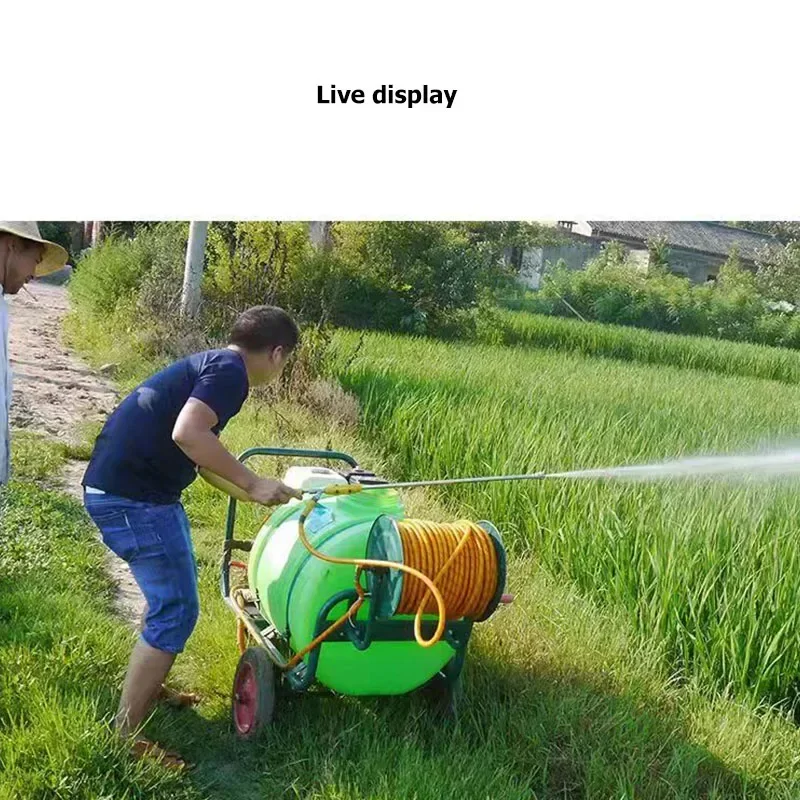 60/160/300L Petrol/Electric Pesticide Sprayer Garden Disinfection Agricultural Sprayer Agricultural Trolley Power Sprayer