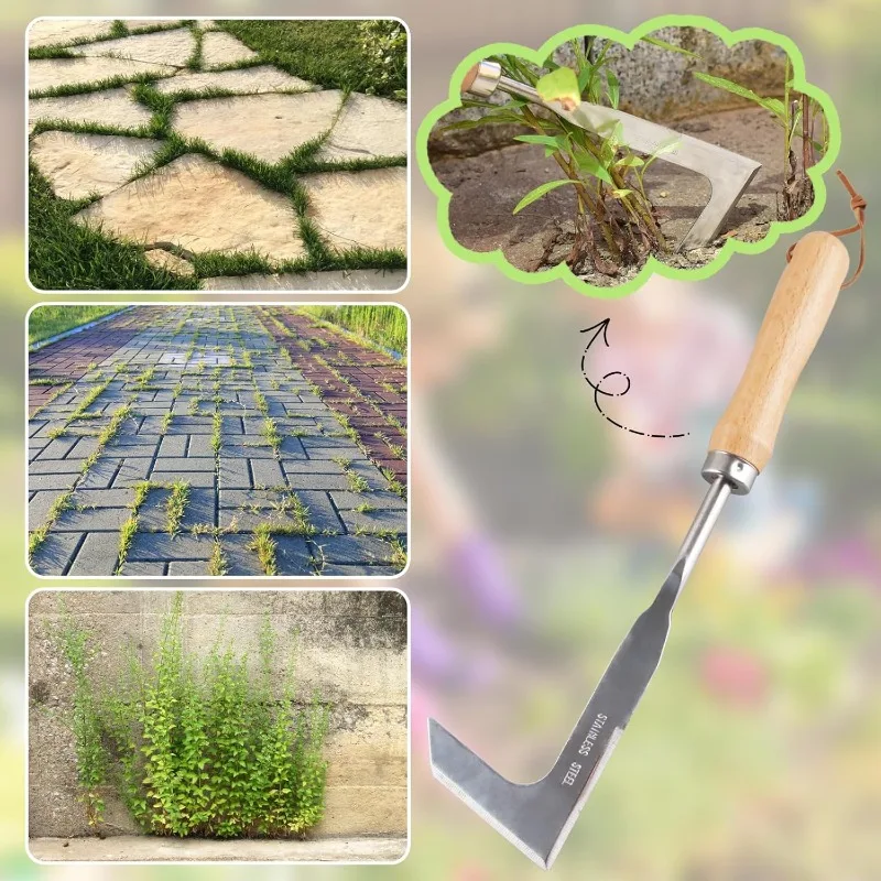 Grattoil à Désherber Manuel, 30 cm - Manche en Bois et Lame en Acier Inoxydable pour Éliminer les Mauvaises Herbes et la Mousse