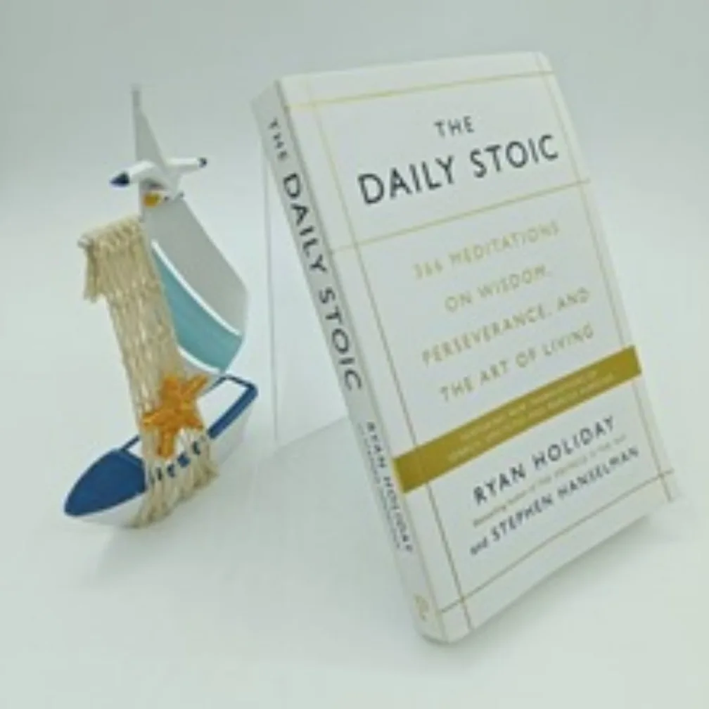 The Daily Stoic بقلم Ryan Holiday 366 Meditations on Wisdom Perseverance and the Art of Living Book Libros #3