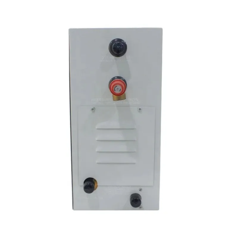 Steam Room Machine Steam  Steam Bath Generator for Gym Wellness Hammam Spa Center Use Commercial and Residential
