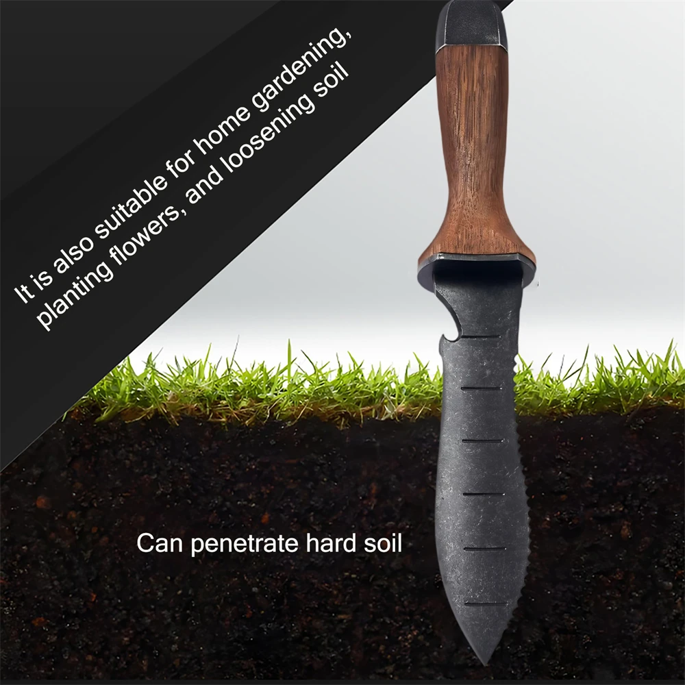 Thumbnail 3 - #3 Rakes Discount Picks