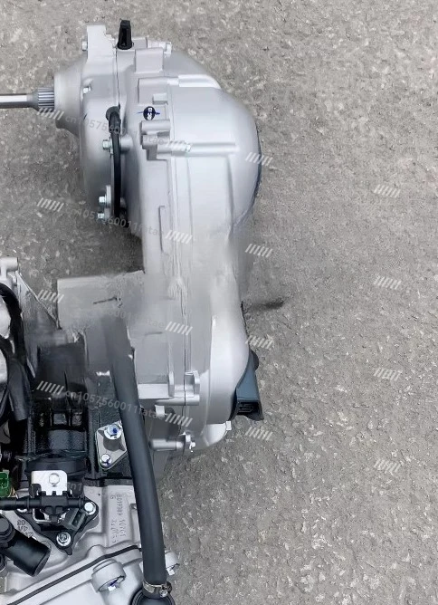 SR300 SR250 APR300T-V 250T-V Engine Assembly NEXUS250/300