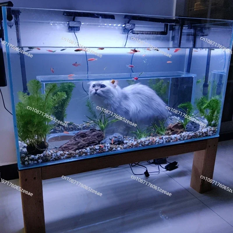 Cat Viewing Tank Super White Glass Customized Fish Tank Special-Shaped Fish Tank