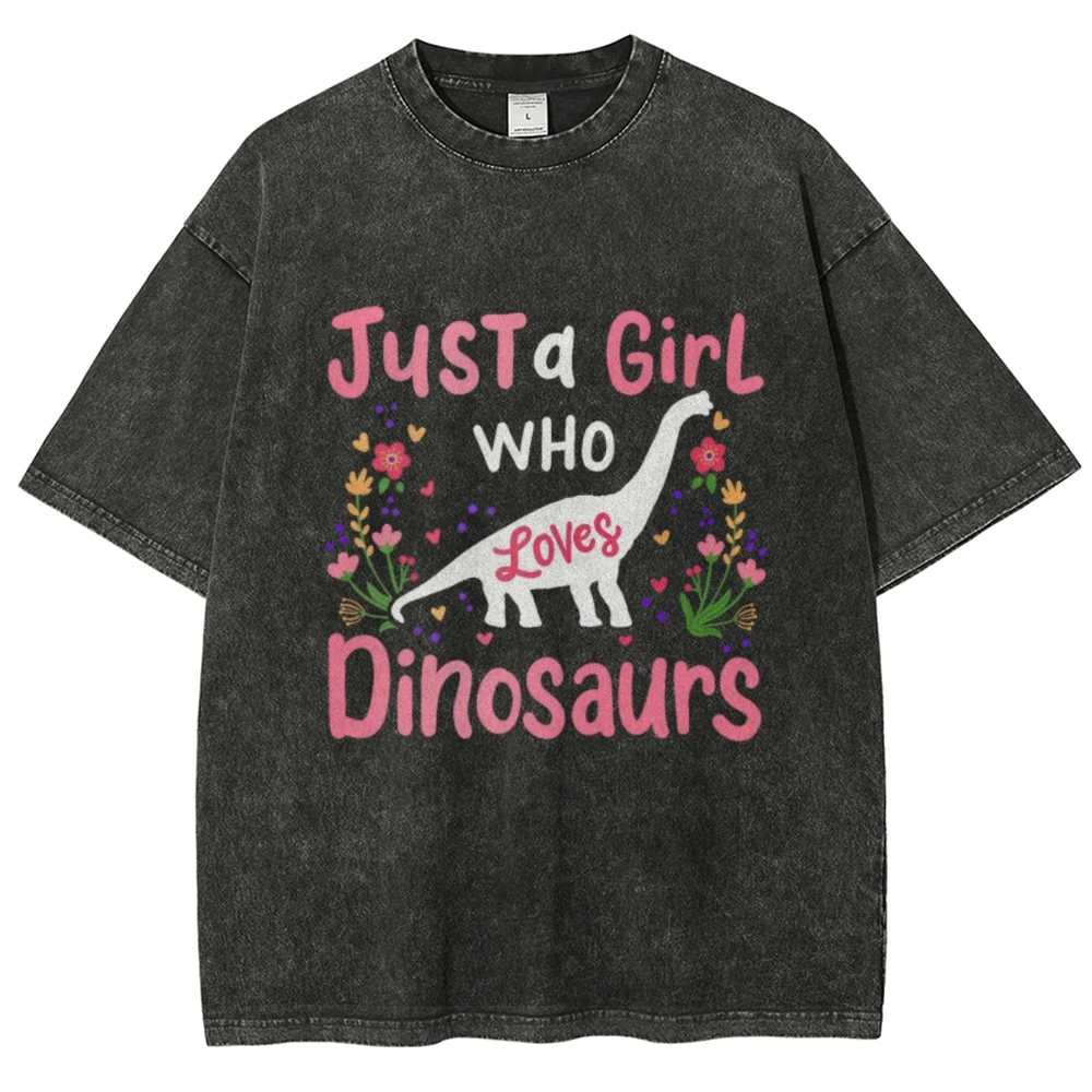 Just A Girl Who Loves Dinosaur Vintage Unisex Washed T-shirt, Funny Toddler Shirt, Dinosaur School Tee