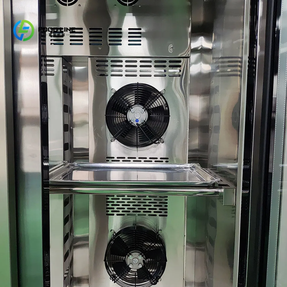Custom Commercial Single Door Roast Duck Goose Cooling Prepare Aging Refrigerator Intelligent Beef Aged Drying Display Cabinet