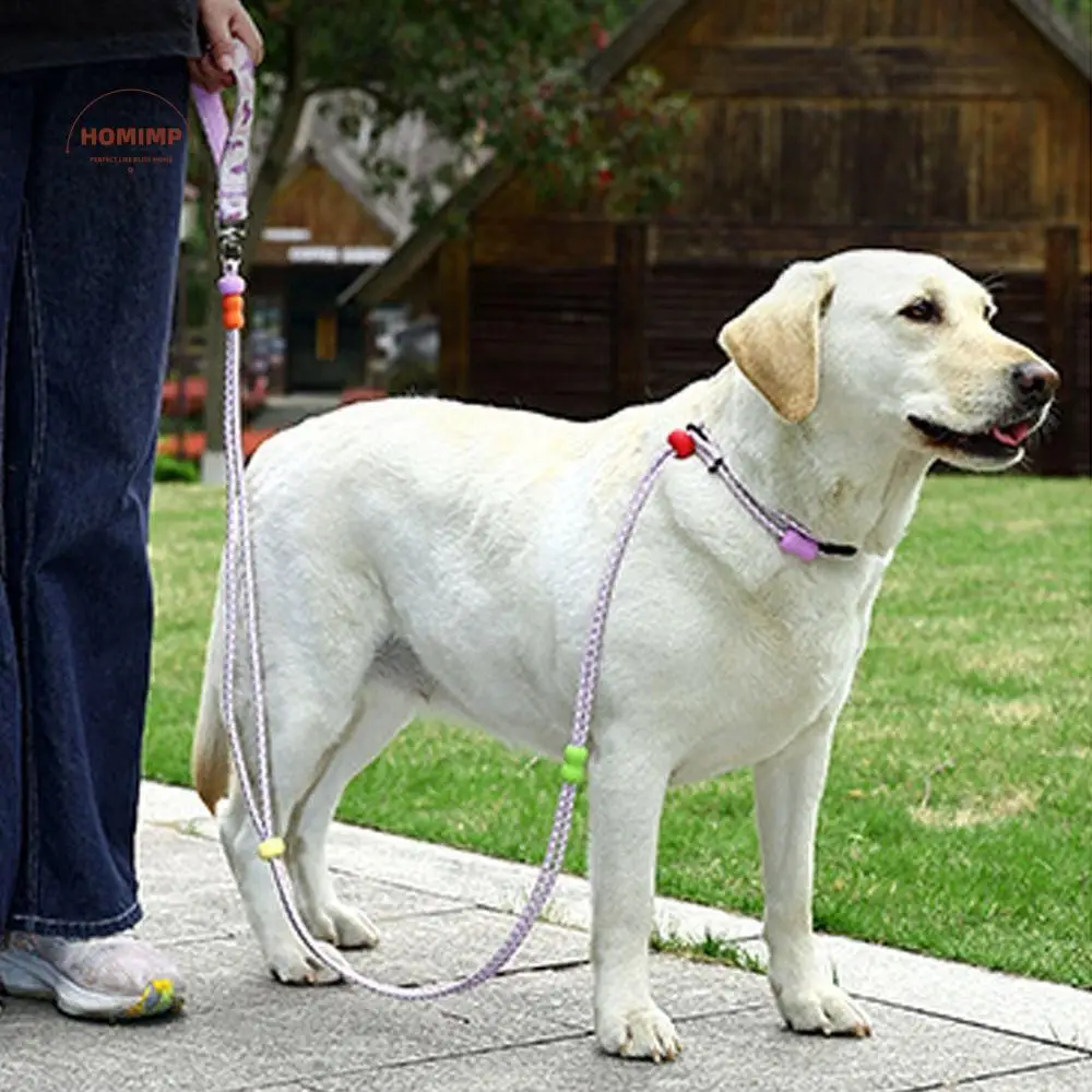

Adjustable Dog Harness and Leash Anti-Pull Nylon Dog Collar Leash Comfortable Reflective P Chain Leash Outdoor Walking