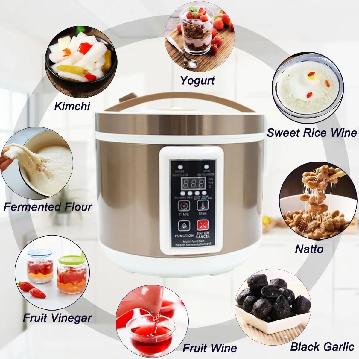 6L Black Garlic Fermenter Multi-functional Health Ferment Box Pot Full Automatic Intelligent Control 110V Yogurt Natto Maker