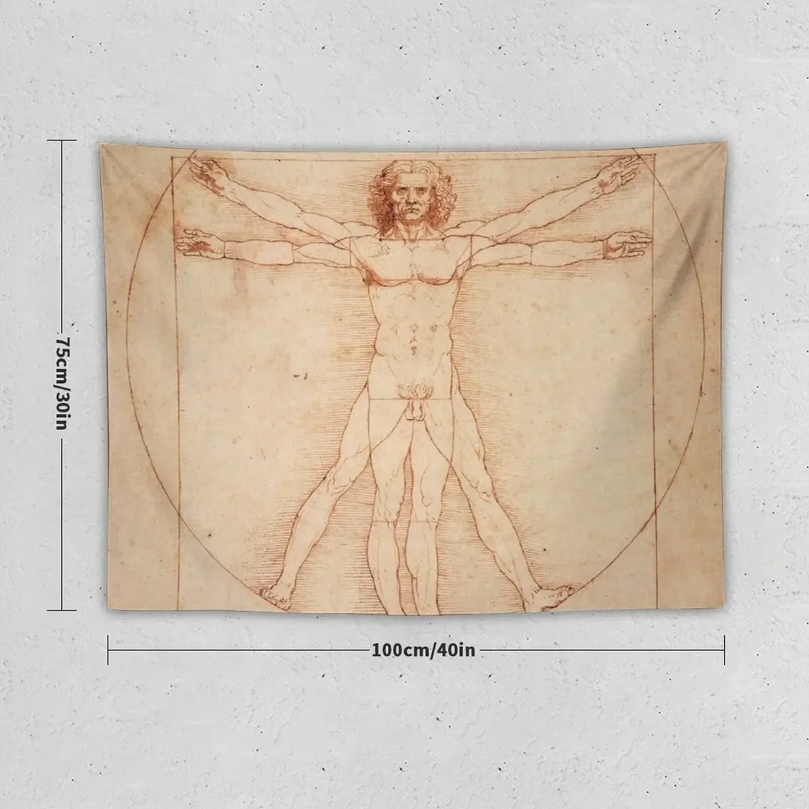 Vitruvian Man by Leonardo Da Vinci (1490) Tapestry Room Design Wallpaper Bedroom Tapestry