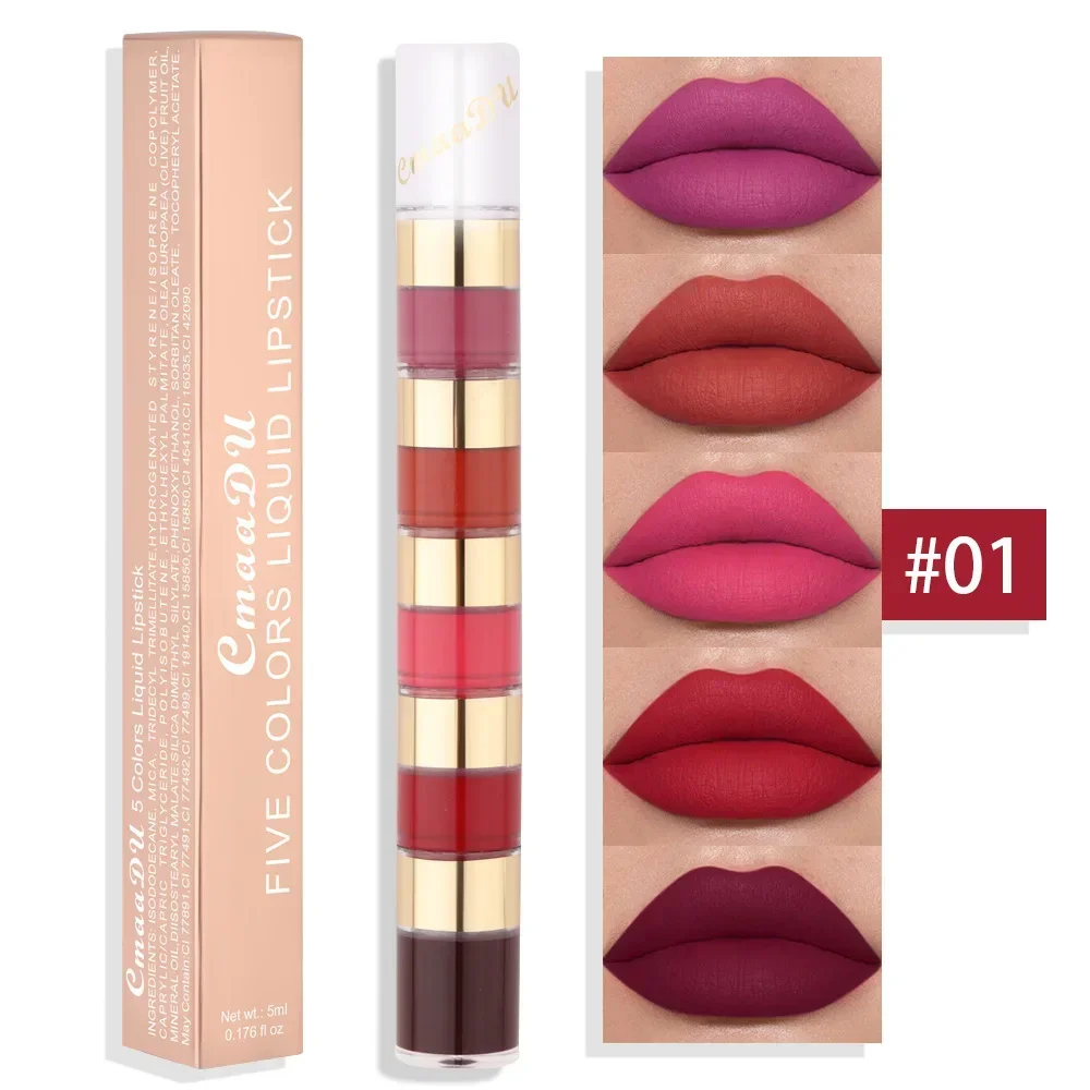 Heallor-lápiz labial portátil 5 en 1, lápiz labial resistente al agua, de larga duración, maquillaje, color rosa, mate, sólido y brillante