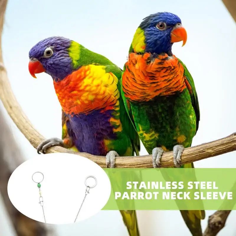 Parrot Neck Chain Stainless Parrot Training Neck Chain Safety Buckle Neck Collar Chain Prevent Parrot From Getting Lost