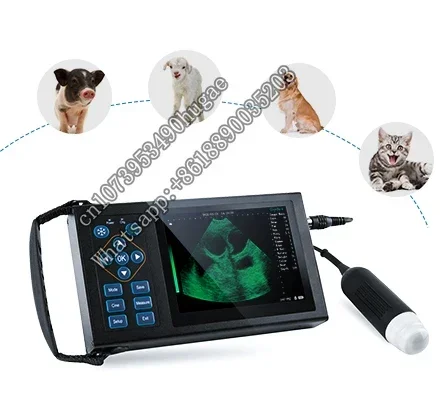 

M10 5.6 Inch 9W Color Screen Probe Preheating Animal preg--nancy Vet Test Handheld Veterinary Ultrasound Machine