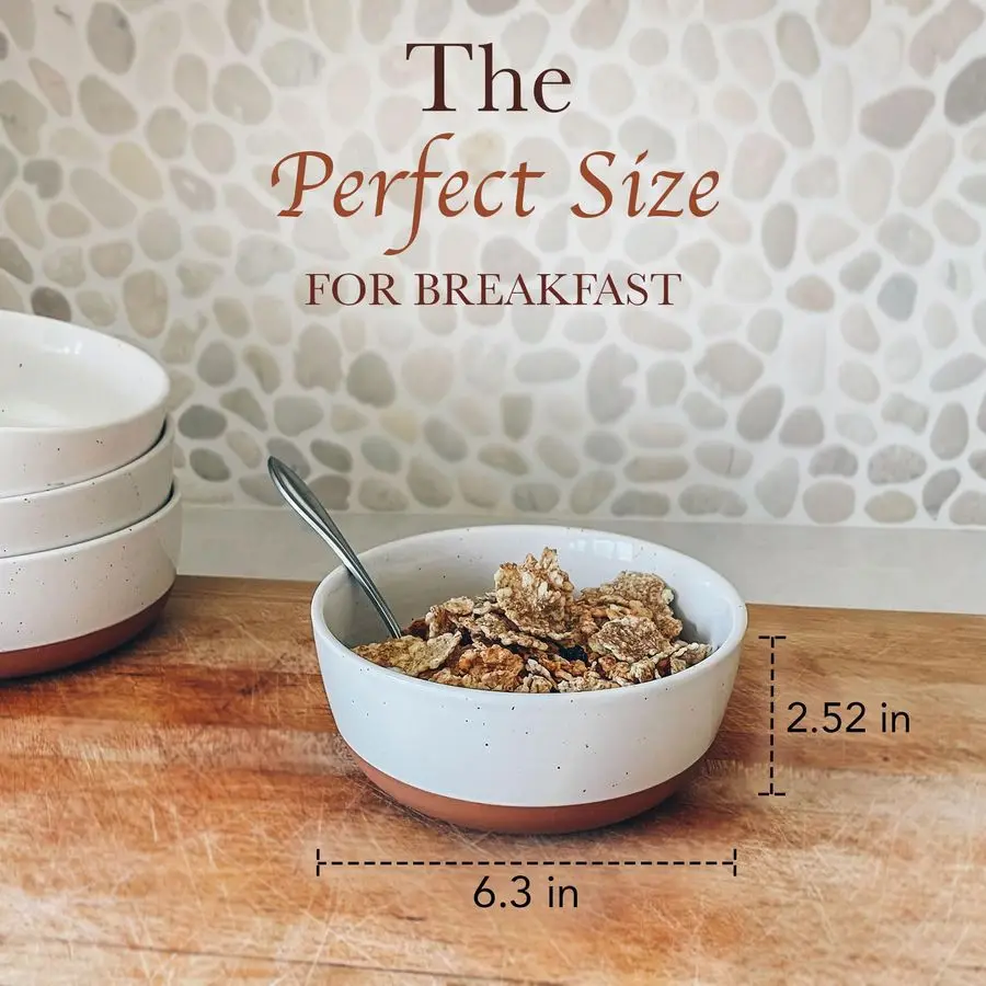 

of 4 Porcelain Bowls, 25oz Microwave, Dishwasher amp Oven Safe for Soup, Cereal, etc.