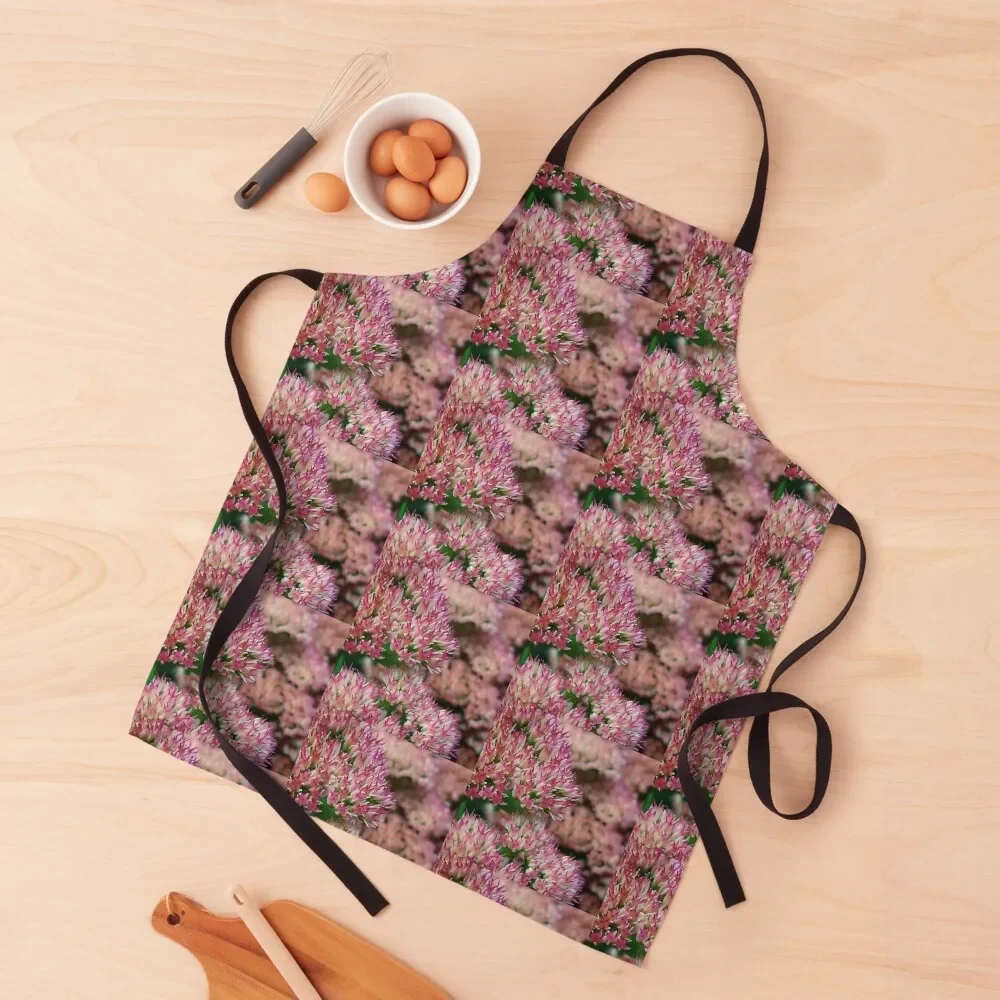 

Pink succulent flowers Apron useful gadgets for home kitchen woman Women's Kitchen Women's Apron