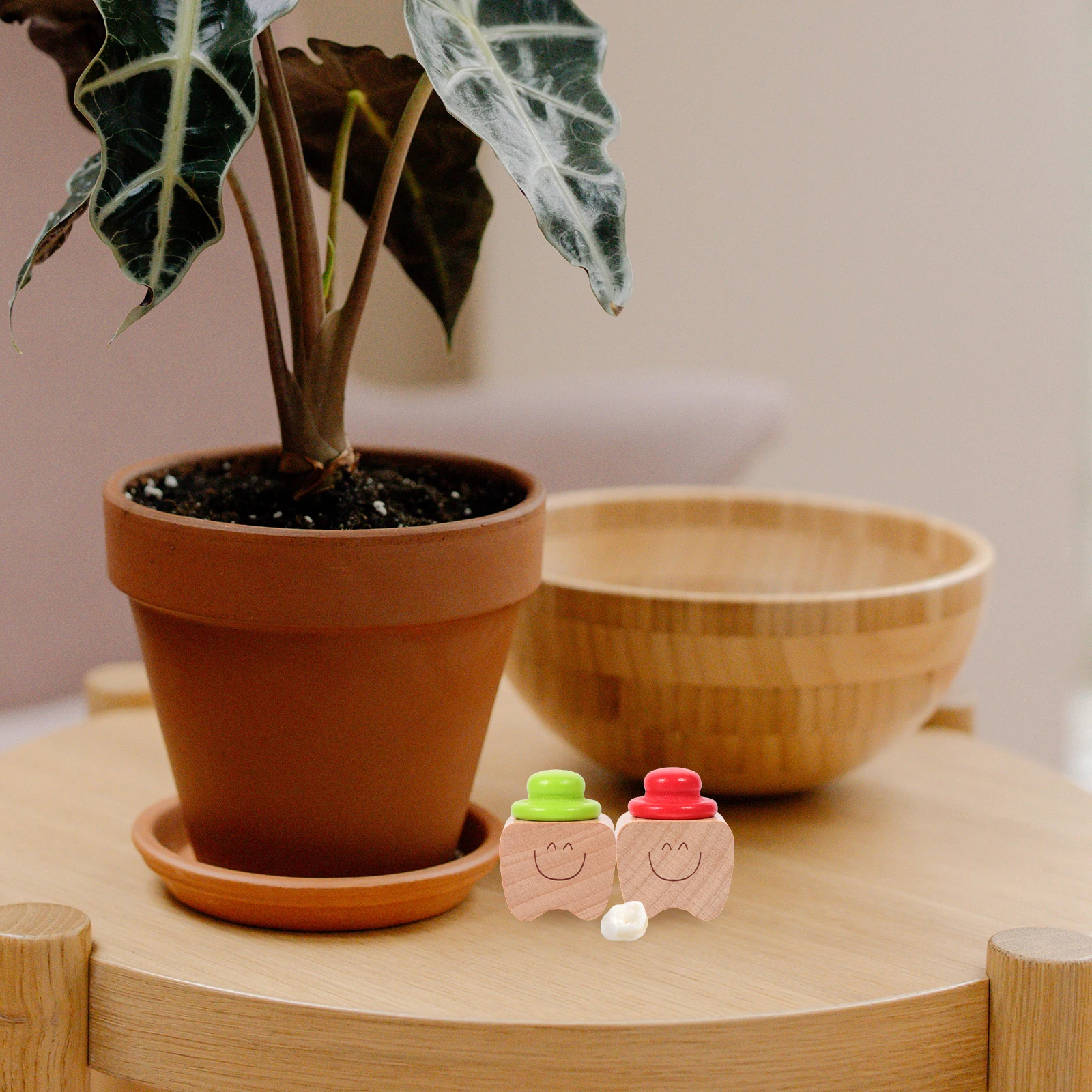 

2pcs Wooden Baby Teeth Box for Keepsake Holder First Tooth Collection Container Cute Memorial Bottle Storage Case