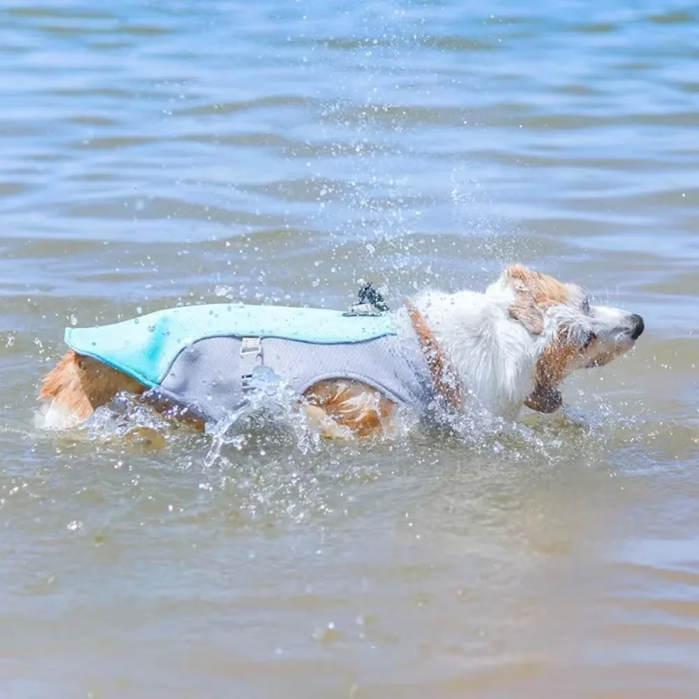 

Summer dog cooling vest, lightweight jacket dog cooling shirt, UV protection cooling harness, suitable for outdoor activities