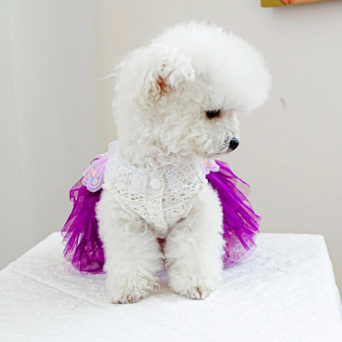 1PC Pet Clothing Spring and Autumn Purple Butterfly Fairy Wedding Dress Princess Dress Suitable for Small and Medium sized Dogs