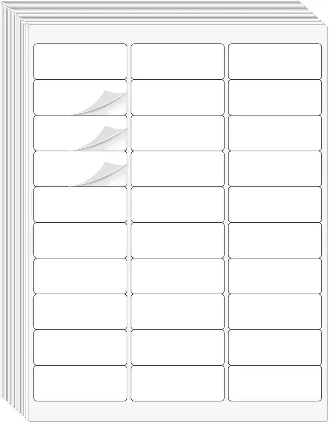 

1" x 2-5/8" Address Labels 900 Labels for Laser/Inkjet Printers with Matte Surface, 8.5"x11" Sheets, 30 per Sheet