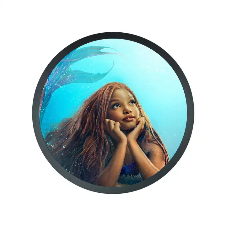 23.6 Inch Circular LCD Screen High Brightness 1500 Cd/M2 Round LCD Panel for Shopping Mall Coffee Shop Digital Signage Player