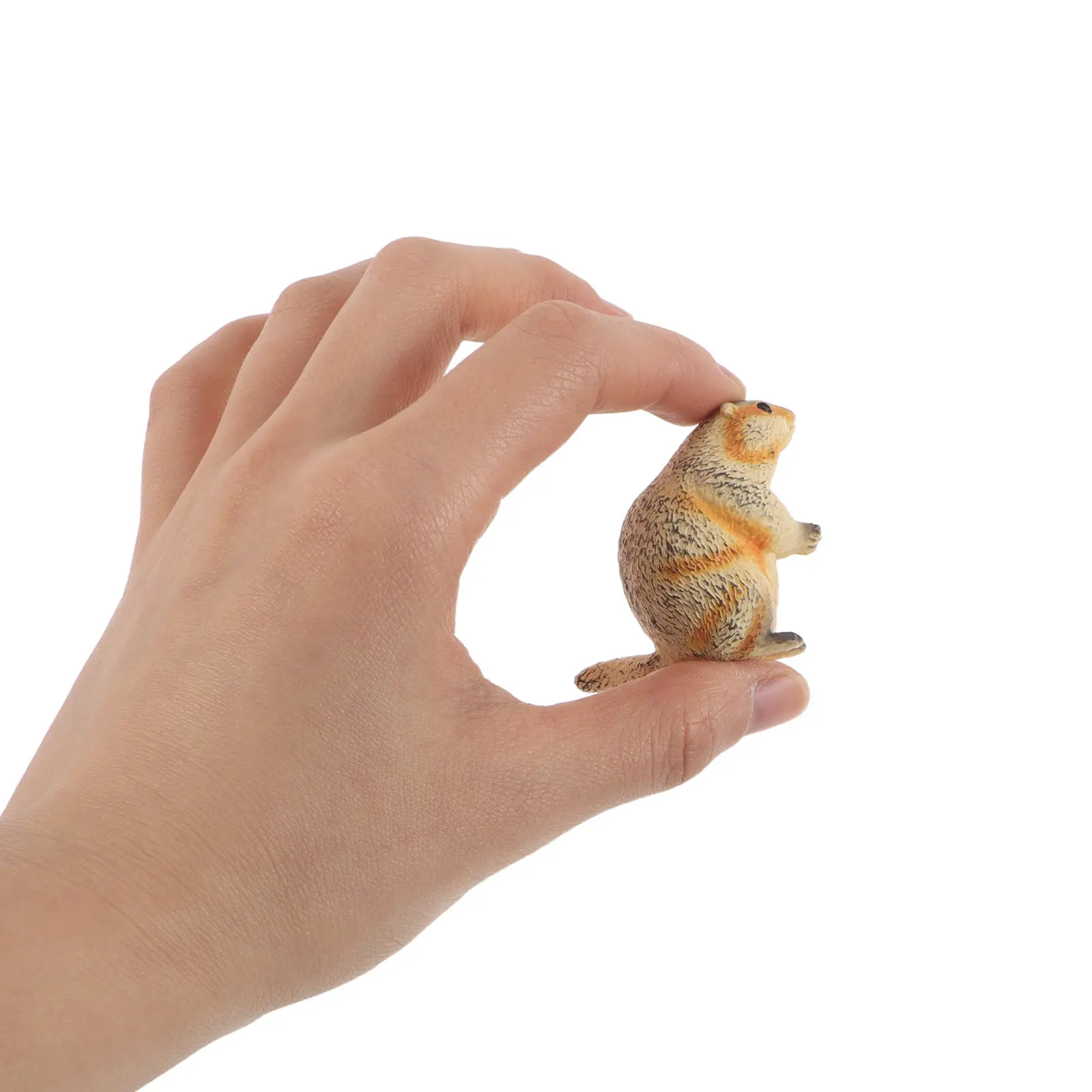 

2Pcs Realistic Groundhog Simulation Animal Set Educational Wildlife Display Miniature Groundhog Ornament for Home Office Shelf