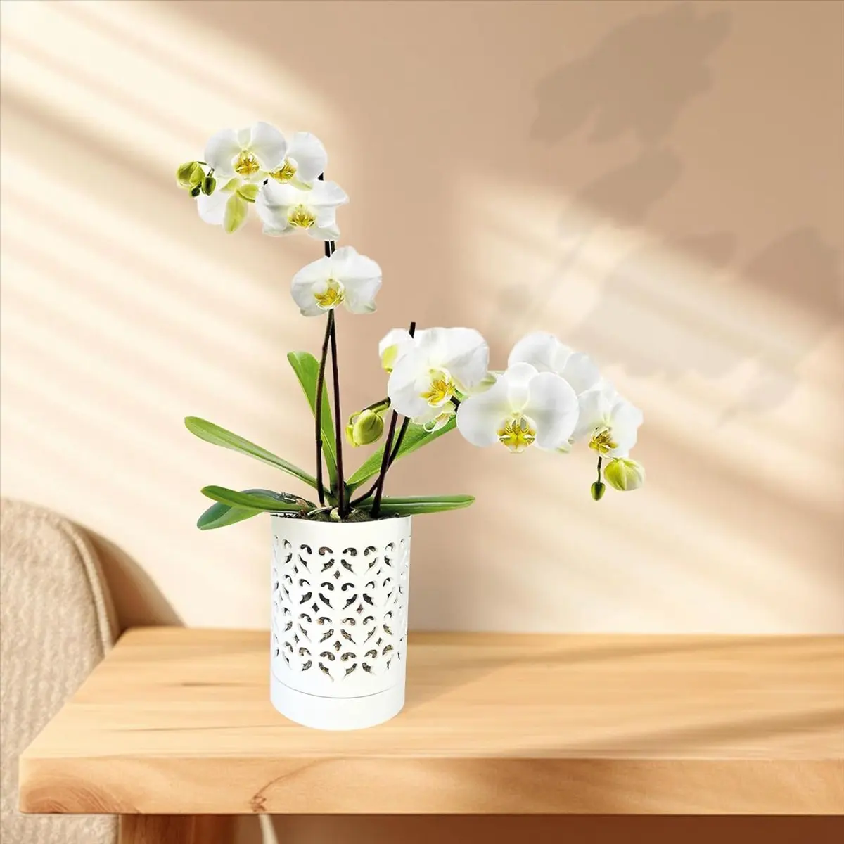 A75K Orchid Pots with Holes,4 Inch Ceramic Orchid Pot for Repotting, Flower Planter Pot Indoor Outdoor, Breathable White