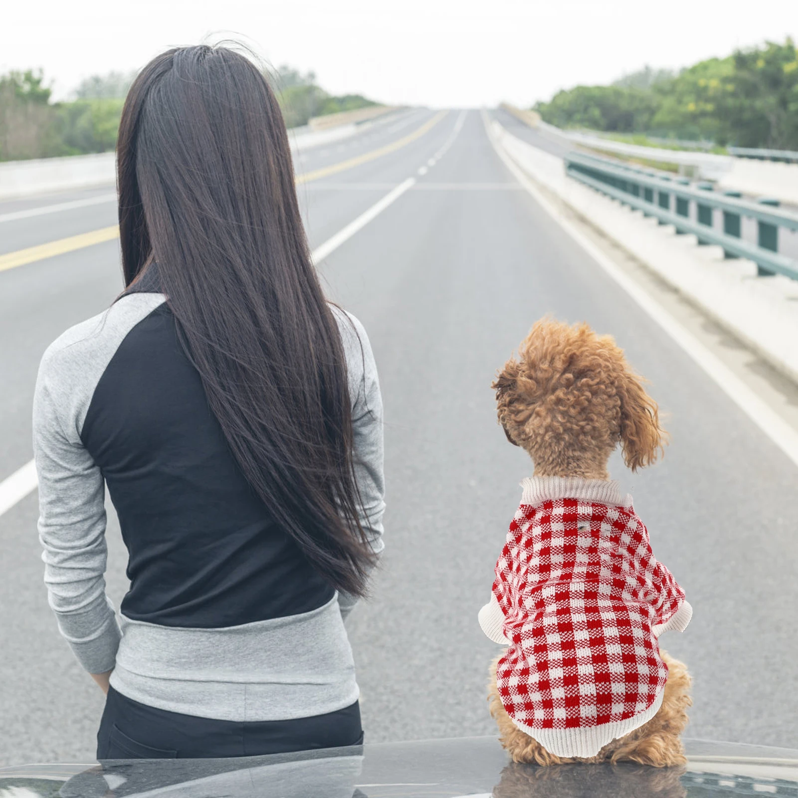 

Dog Cold-Proof Sweater Winter Pet Clothes Warm Dog Costume For Outdoor Walking Jogging Party Puppy Coat Pet Supplies