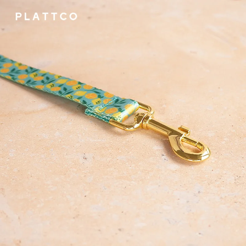 PLATTCO design unico guinzaglio per cani stampa LEMON TEASE pattern e fibbia in oro di alta qualità 5 dimensioni PDL329YG