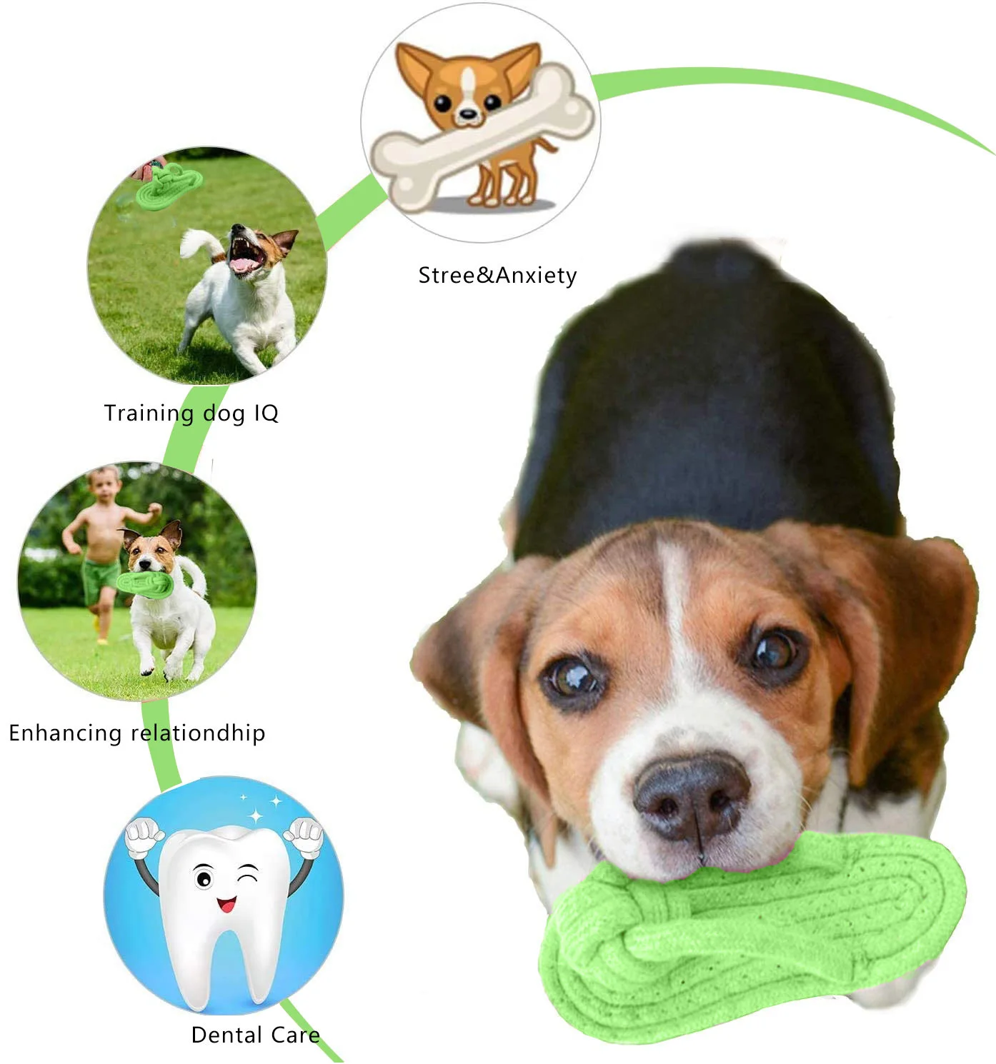 Dog Chewing Toy Cotton Slipper Rope Toy for Small Large Dogs Pet Teeth Training Molar Toys Interactive Dog Toy Dog Accessories