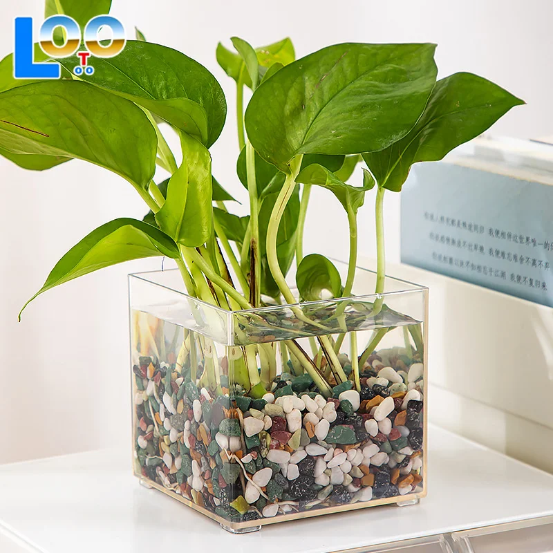 الحد الأدنى الحديثة البلاستيك الشفاف جرة مربعة المنزل زهرة زهرية المائية حاوية النباتات سطح المكتب الديكور