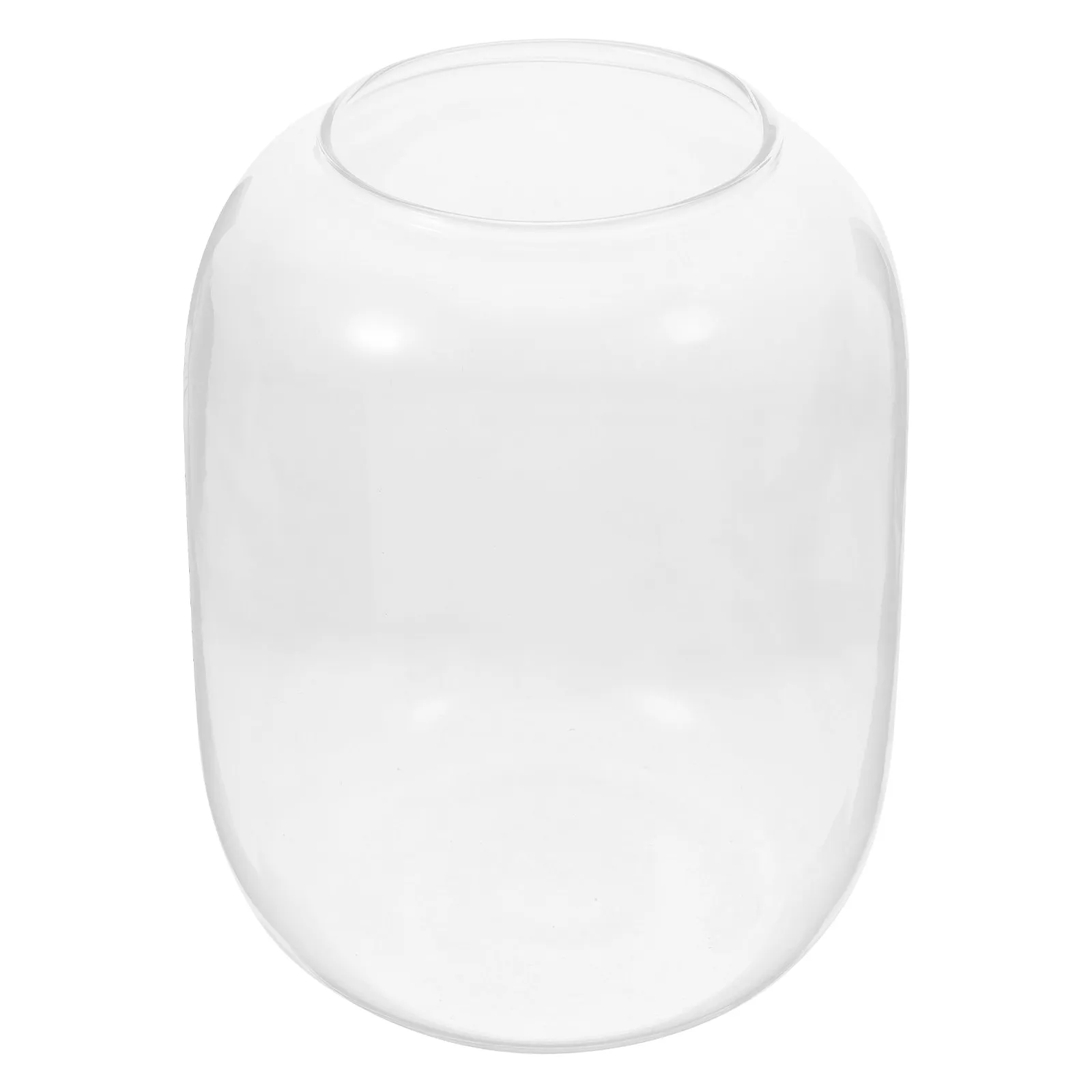 Large Clear Glass Hydroponic Plant Bottle for Indoor Micro Landscape Terrarium Desk Office Decor Air Purifying Greenery Glass