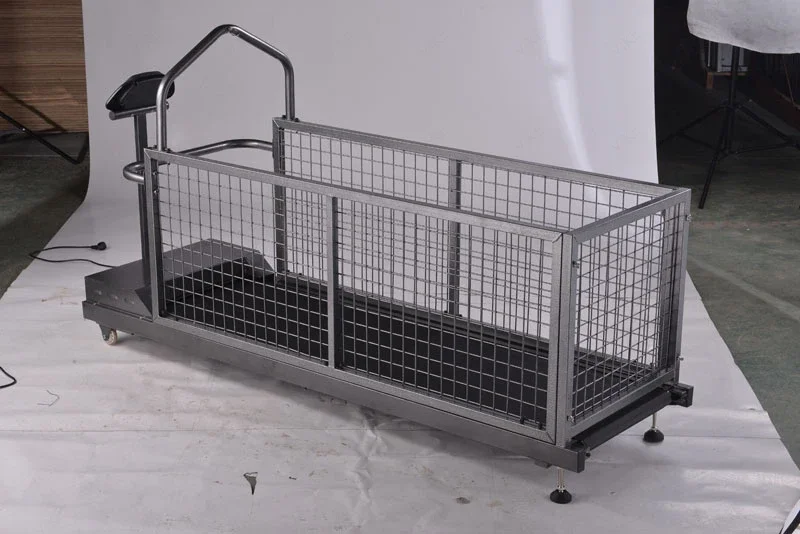 Dog Treadmill Easy to Use Pet Exercise Equipment Dog Training Rehabilitation Machine Walking Running Treadmill