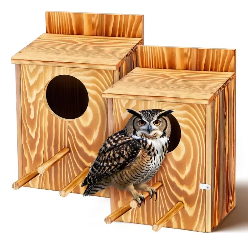 Large Carbonized Painted Wood Rectangular Screech Owl House Wooden Owl Bird Box for Outside