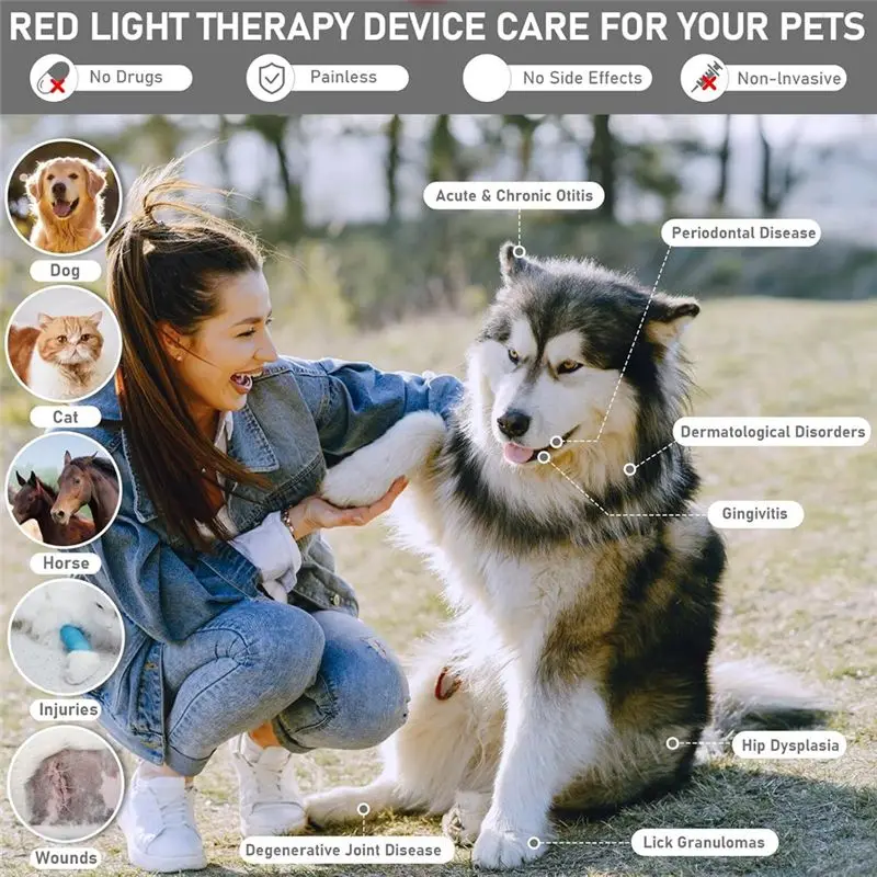 Stand Included Handheld Red Light Therapy Devices Cold Laser Therapy Machine For Human And Pet Muscle Joint Pain Relief-A54Q