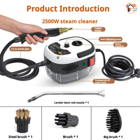2500W 110V 220V High Pressure And Temperature Handhled Steam Cleaner For Air Conditioner Kitchen Hood Car Steaming Cleaner