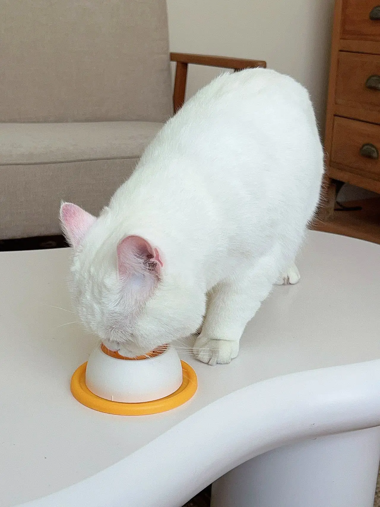 Anti-lek Slow Food Katten- en hondenspeelgoed voor entertainment Verzadigend Afleiden Kittens Zelfentertainment Likken Plezier - afbeelding 2