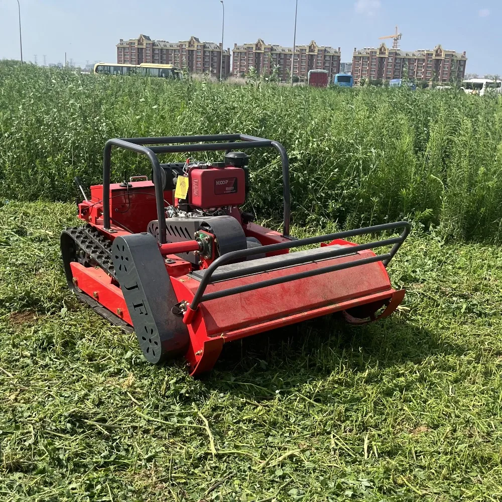 High Power Electric Lawn Mower - огляд і ціна Gardening Tools Lawn Mower