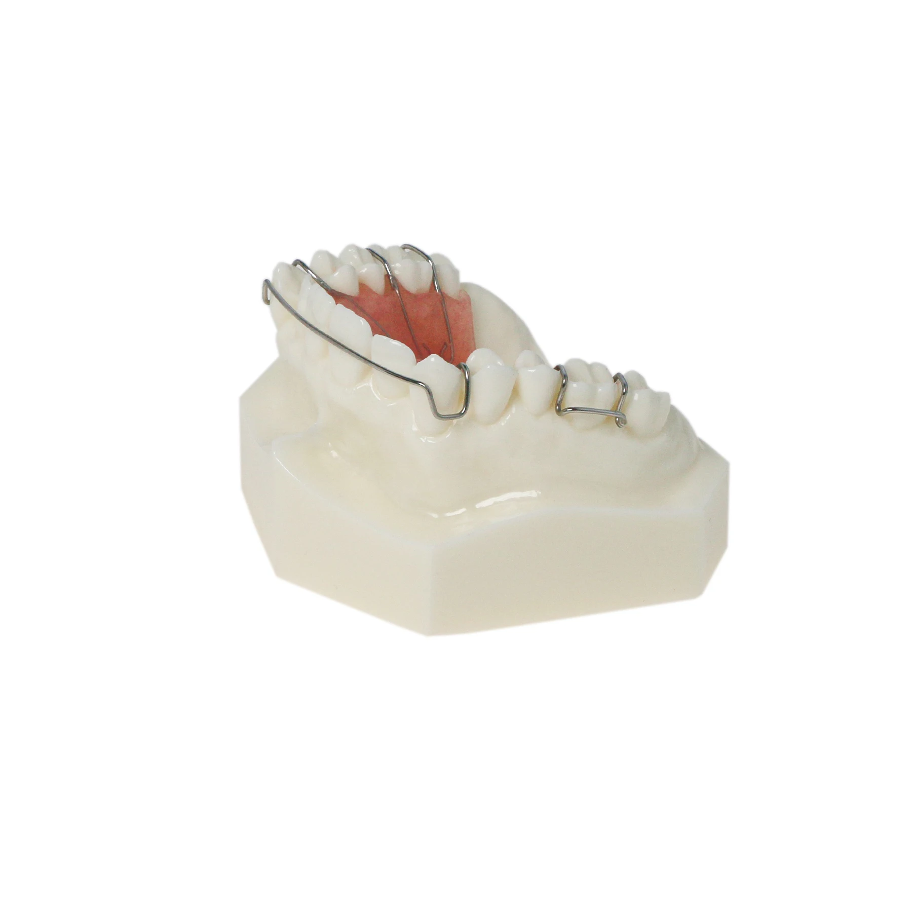 M3007 Dental Orthodontic Teeth Model With Hawley Retainer Study Teach Demo