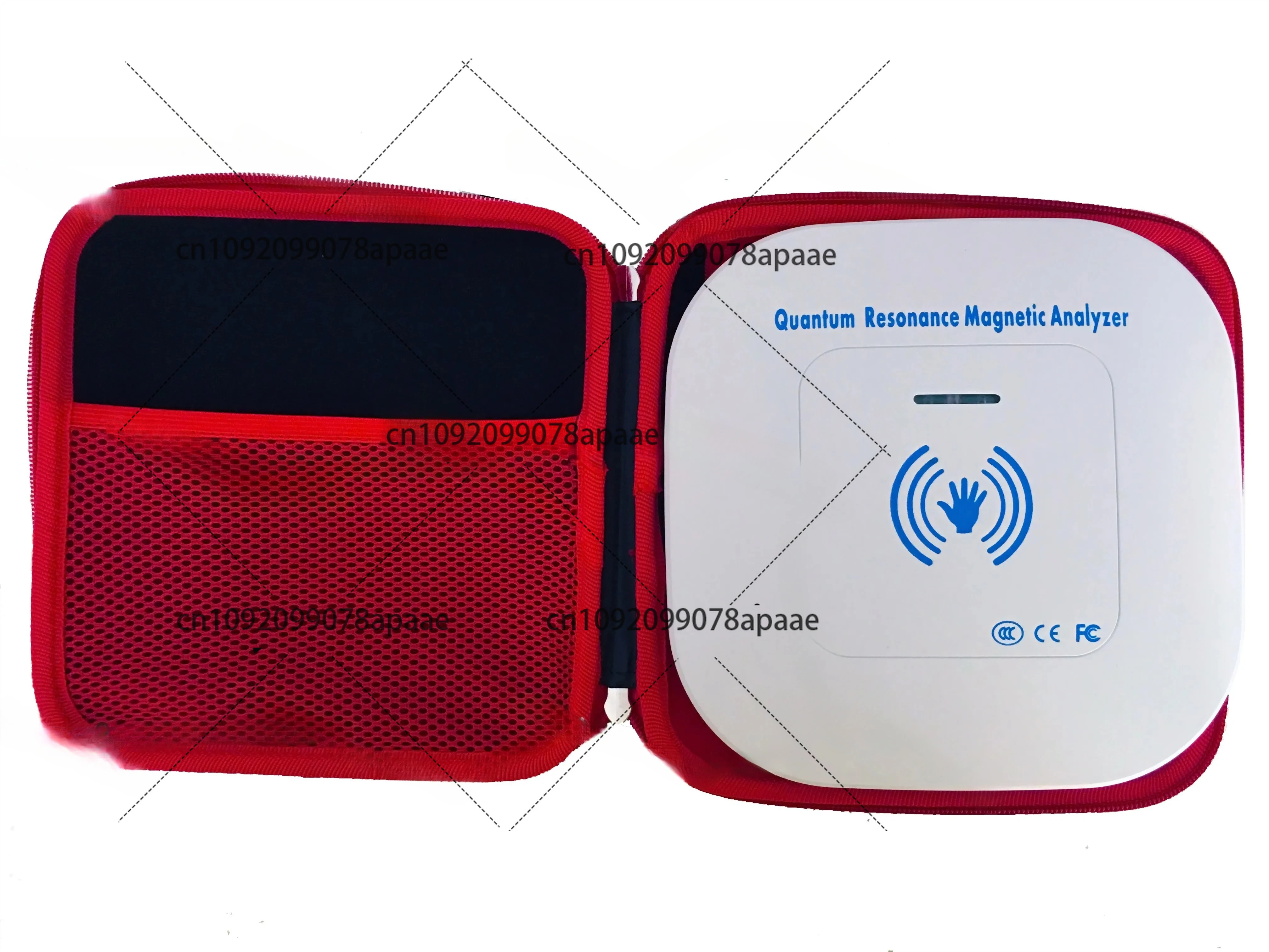 2025 Body Compositi…